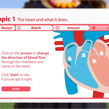 Know Your Heart